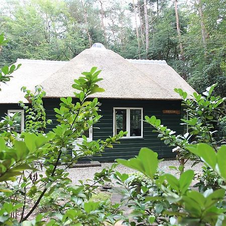 Vakantiehuis 'T Musje Epe Rom bilde