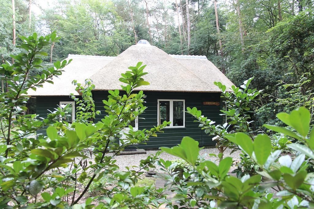 Vakantiehuis 'T Musje Epe Rom bilde
